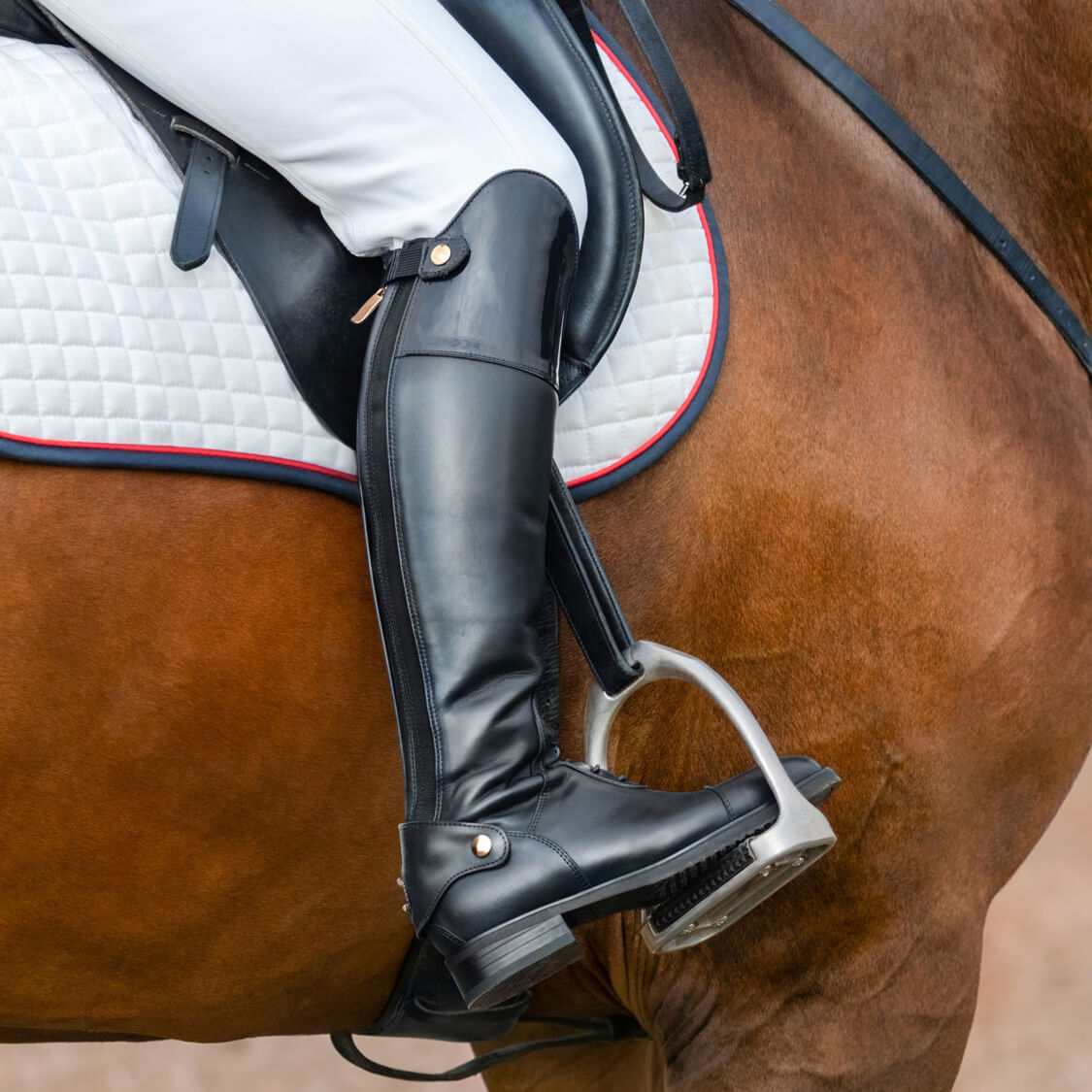 Horse Stirrups