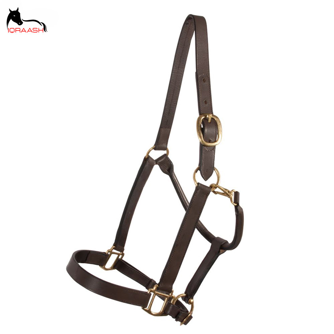 Iqraash Premium Leather Halter in Deep Espresso Brown: Timeless Elegance, Unmatched Quality