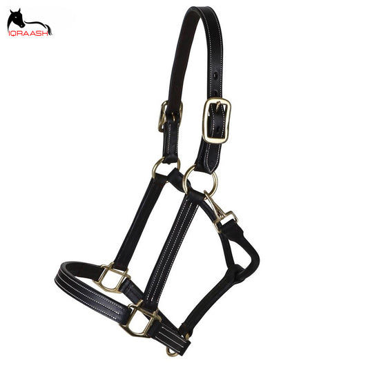 leather halter