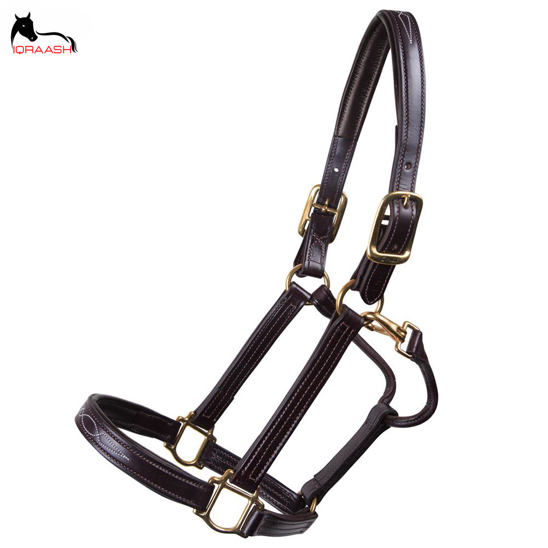 leather halter
