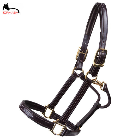 leather halter
