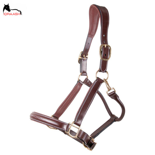 Iqraash Rich Brown Leather Horse Halter with Durable Brass Fittings