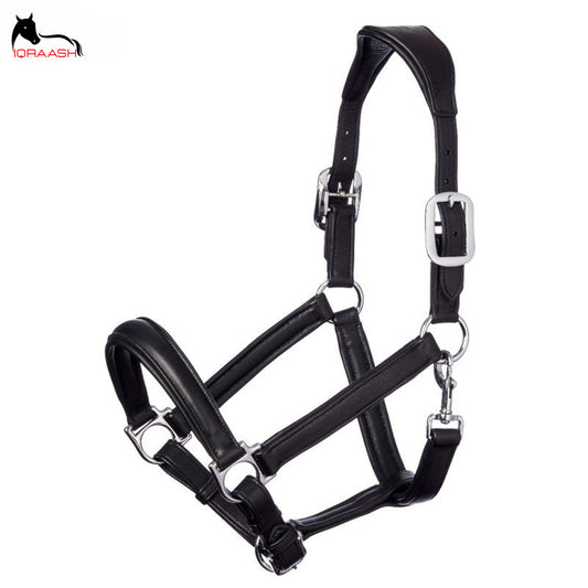 leather horse halter