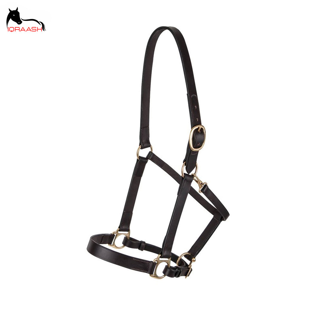 leather halter