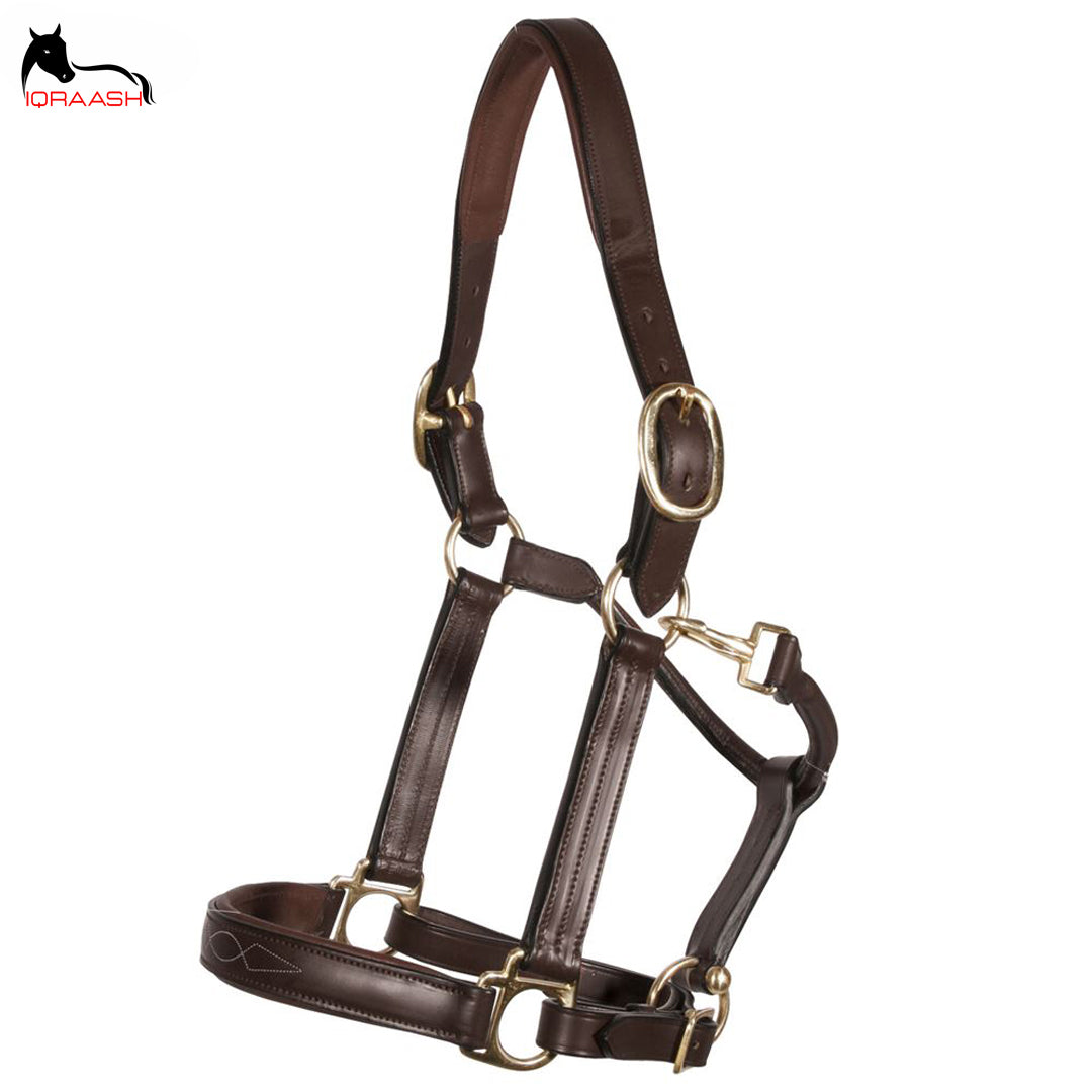 Iqraash Premium Leather Halter in Deep Brown: Classic Elegance, Superior Craftsmanship