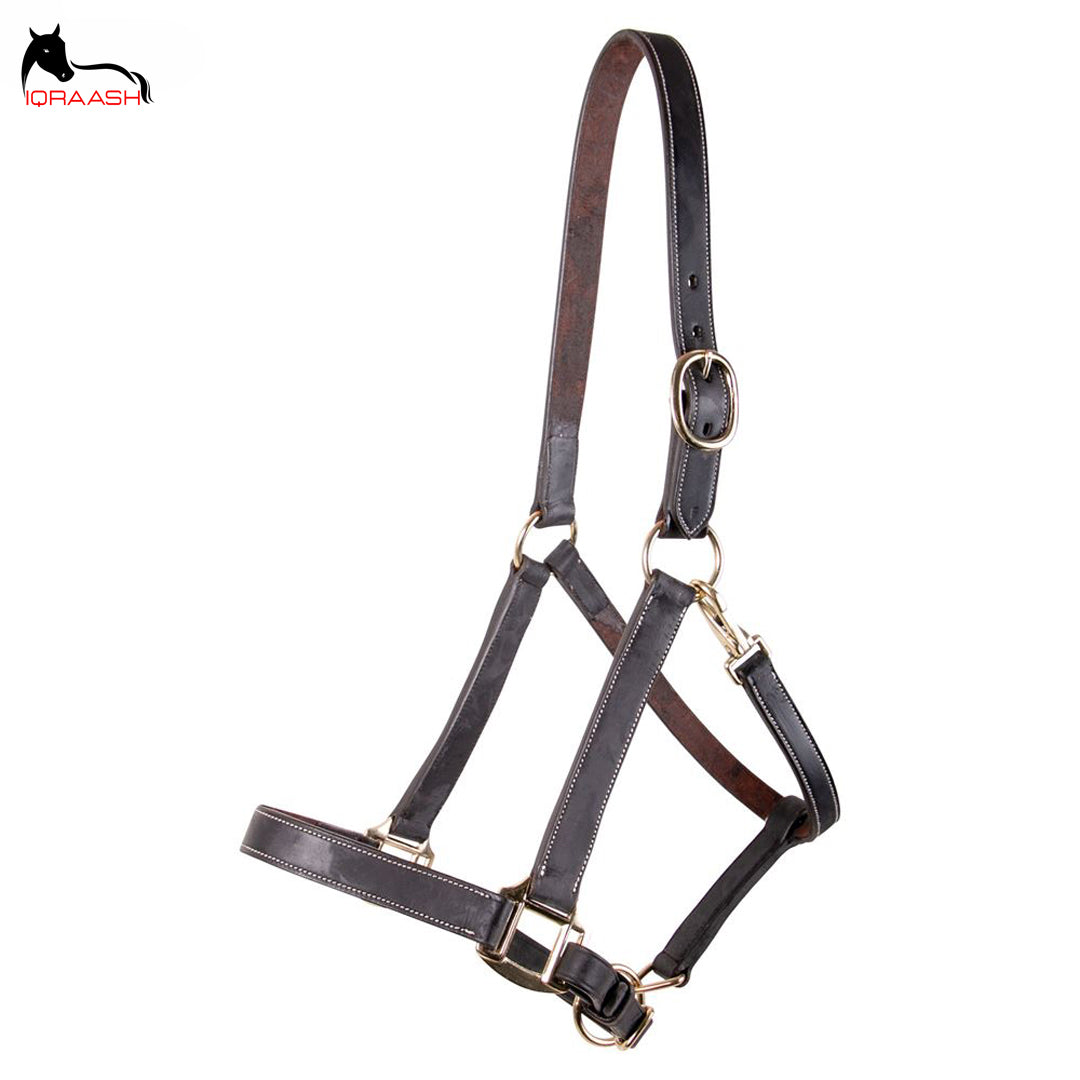 leather halter