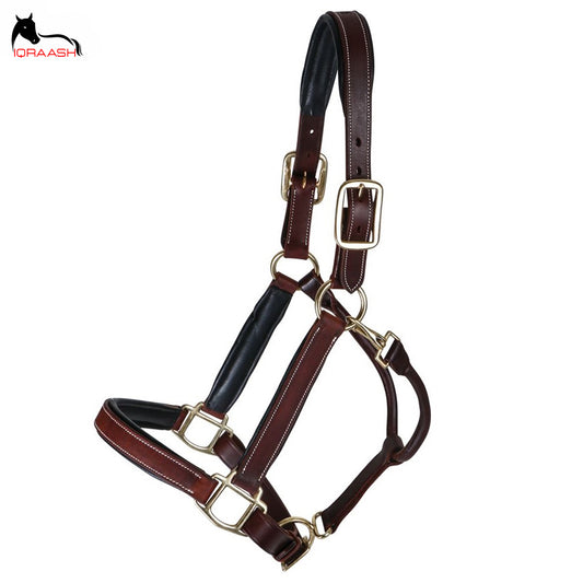 Iqraash Premium Leather Halter in Chestnut Brown: Timeless Beauty, Exceptional Craftsmanship